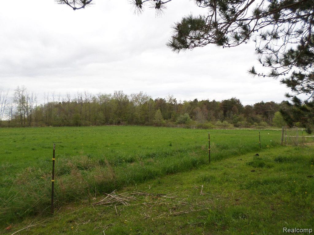 5335 Pyles Road Columbiaville, MI 48421 - Photo 27 of 27 Hay Field 2.jpg