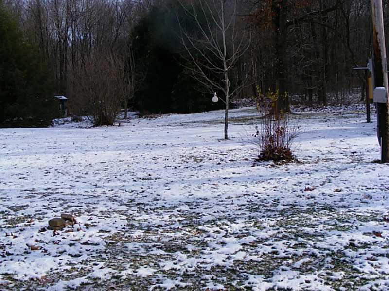 1141-2 Hinchberger Road Butler, PA 16002 - Photo 13 of 20 Yard/Garden.