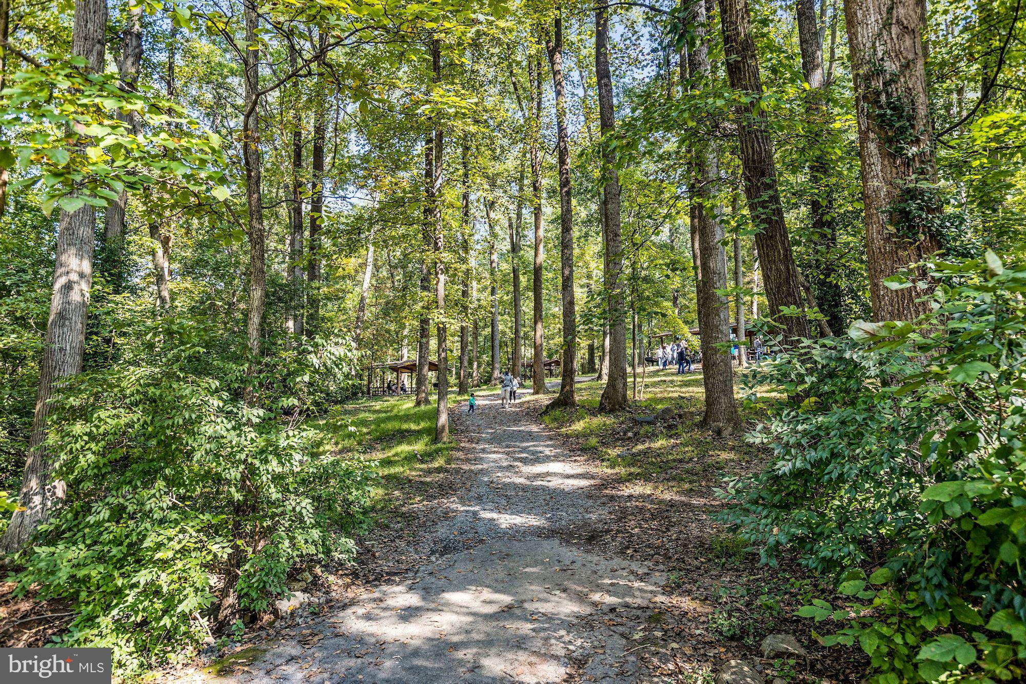 5343 Pooks Hill Road, Unit 40353 Bethesda, MD 20814 - Photo 30 of 57 a view of yard