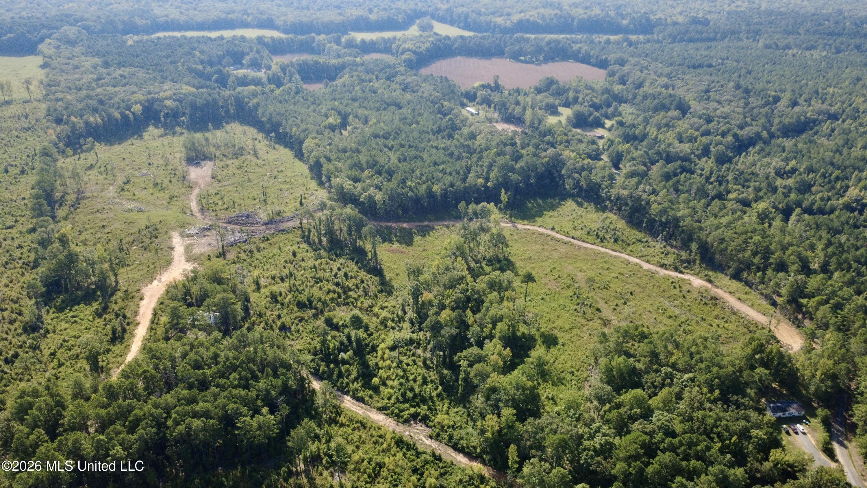 Terry Road Kosciusko, MS 39090 - Photo 3 of 17 DJI_0690