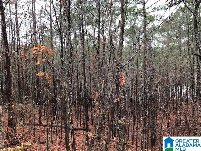 0 Lakeside Lane, Unit 31 Alpine, AL 35014 - Photo 11 of 42