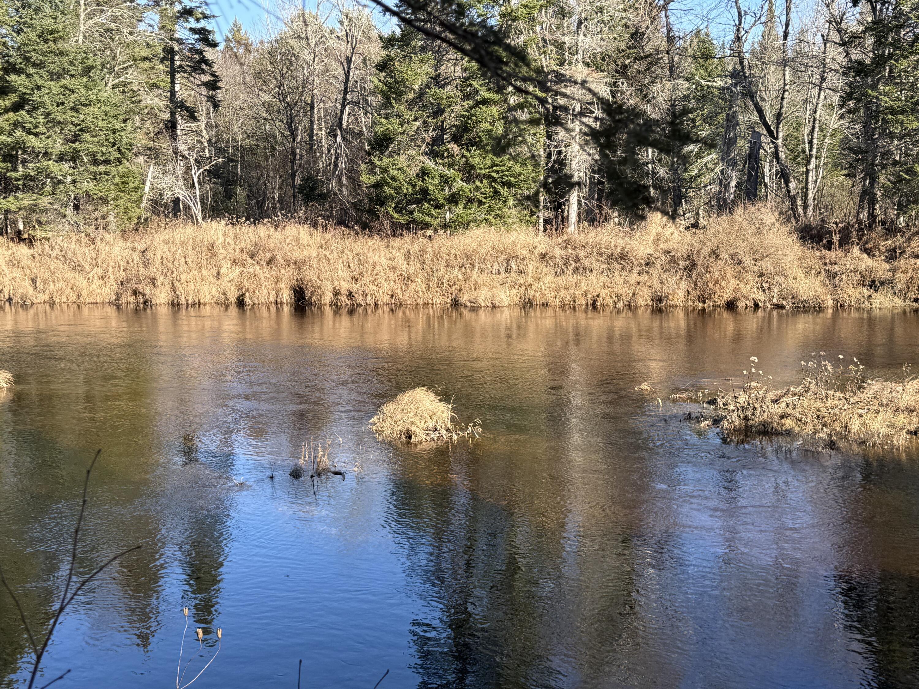 0 Bellfield Road Wytopitlock, ME 04497 - Photo 21 of 22 river views2