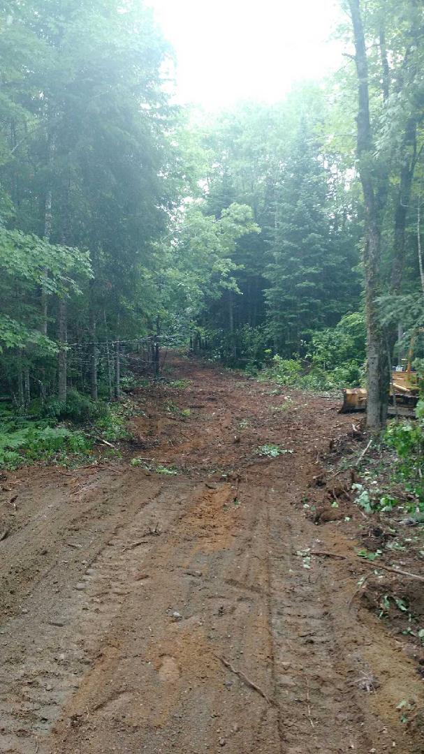 0 Bellfield Road Wytopitlock, ME 04497 - Photo 10 of 22 driveway view 2014