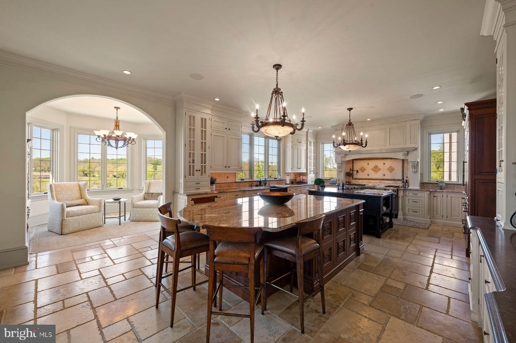 925 Drovers Lane Chester Springs, PA 19425 - Photo 17 of 96 Dual Islands