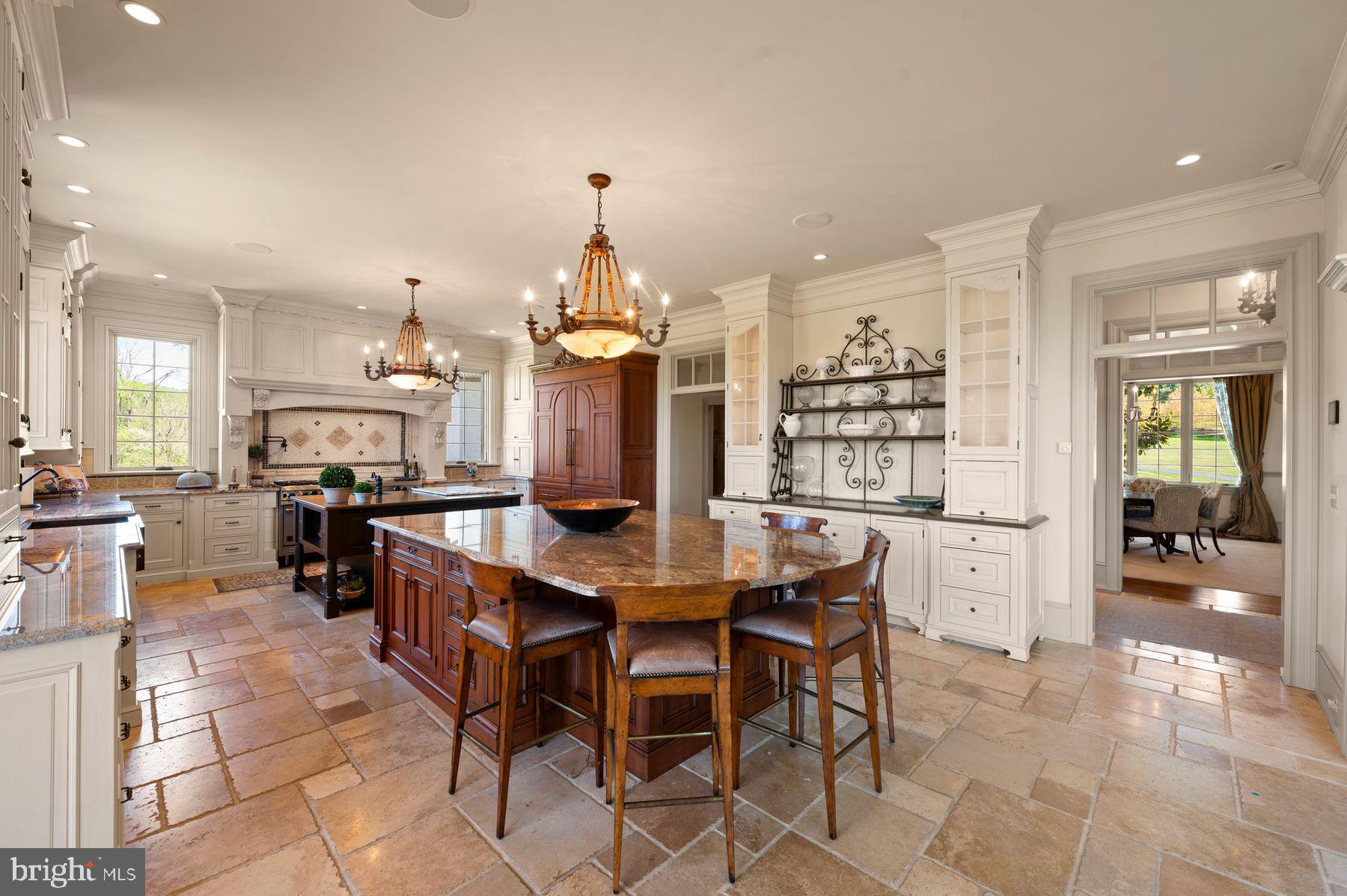 925 Drovers Lane Chester Springs, PA 19425 - Photo 20 of 96 Amazing lighting throughout