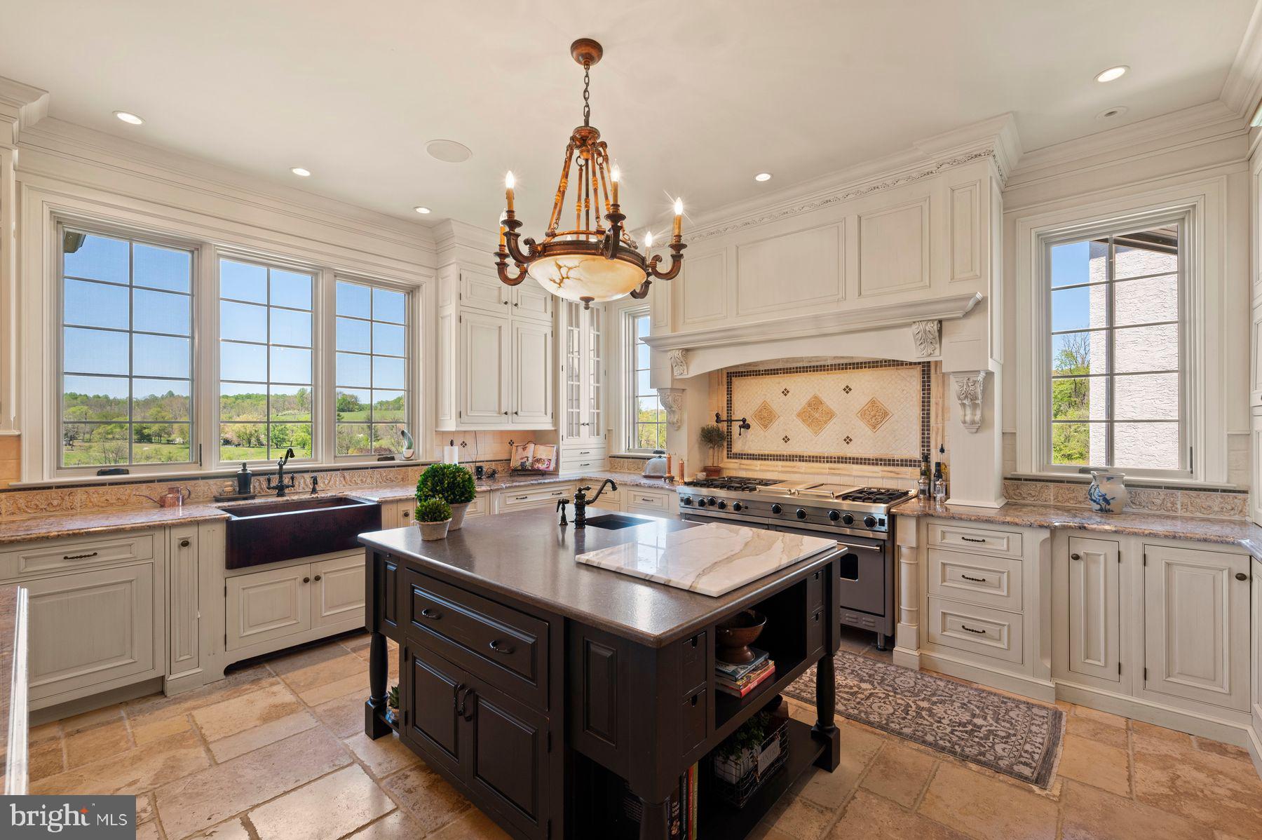 925 Drovers Lane Chester Springs, PA 19425 - Photo 23 of 96 Dual dishwashers on both sides of sink