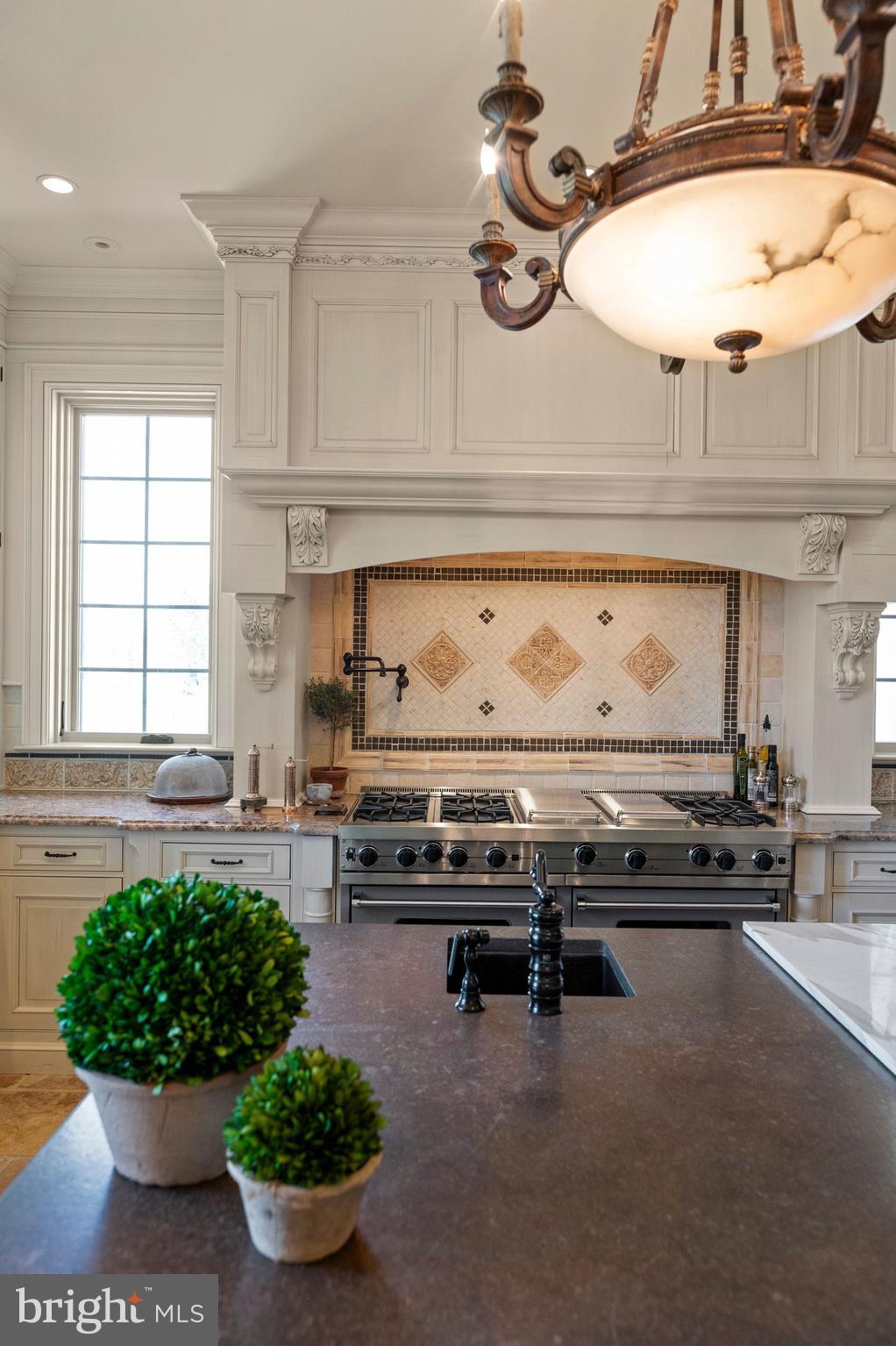 925 Drovers Lane Chester Springs, PA 19425 - Photo 26 of 96 Kitchen Hood