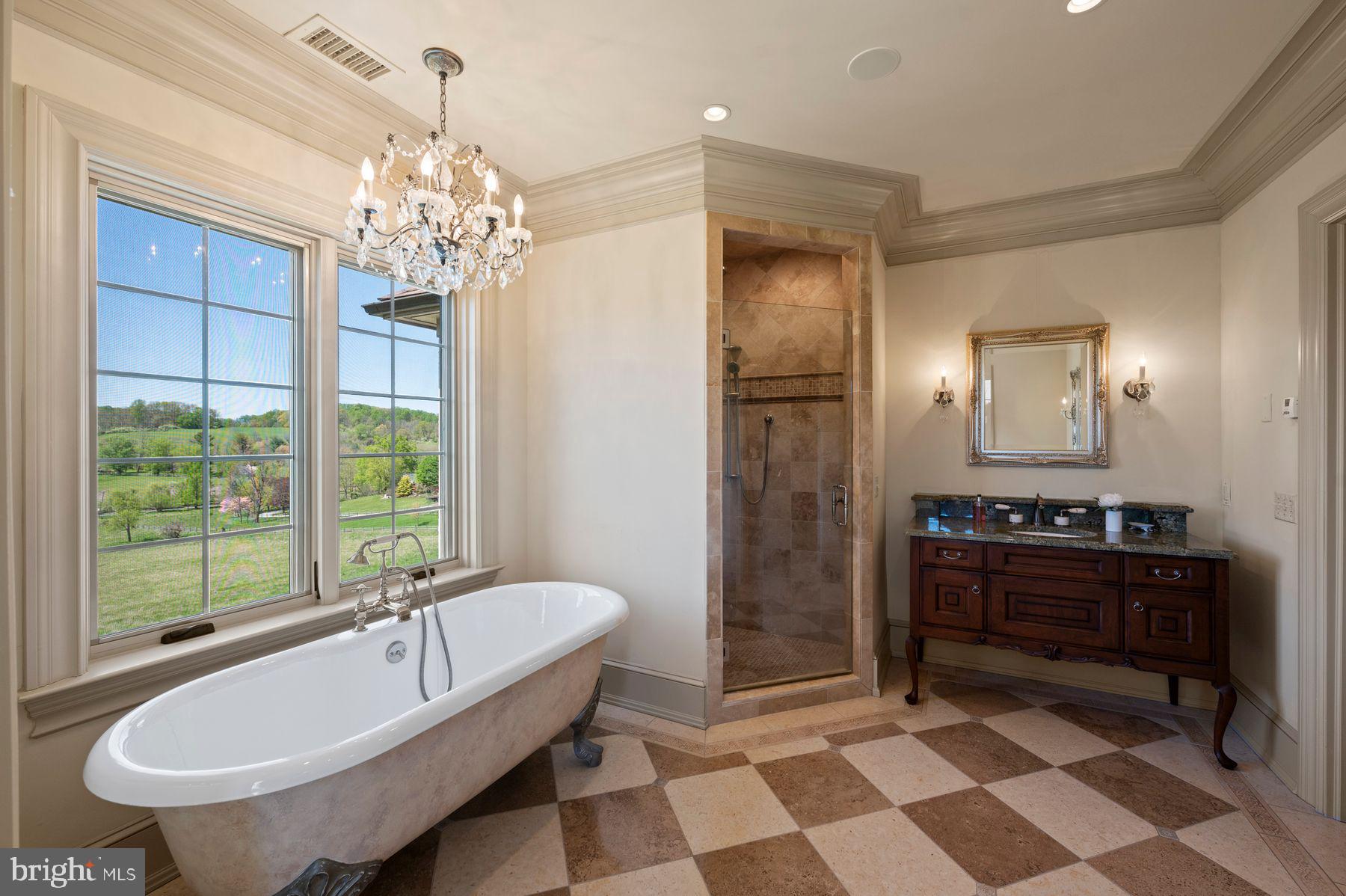 925 Drovers Lane Chester Springs, PA 19425 - Photo 40 of 96 a spacious bathroom with a sink a large mirror and a bathtub