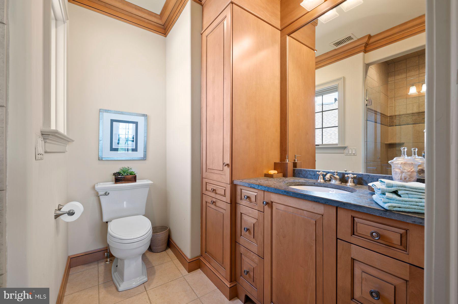 925 Drovers Lane Chester Springs, PA 19425 - Photo 43 of 96 a bathroom with a toilet sink and mirror