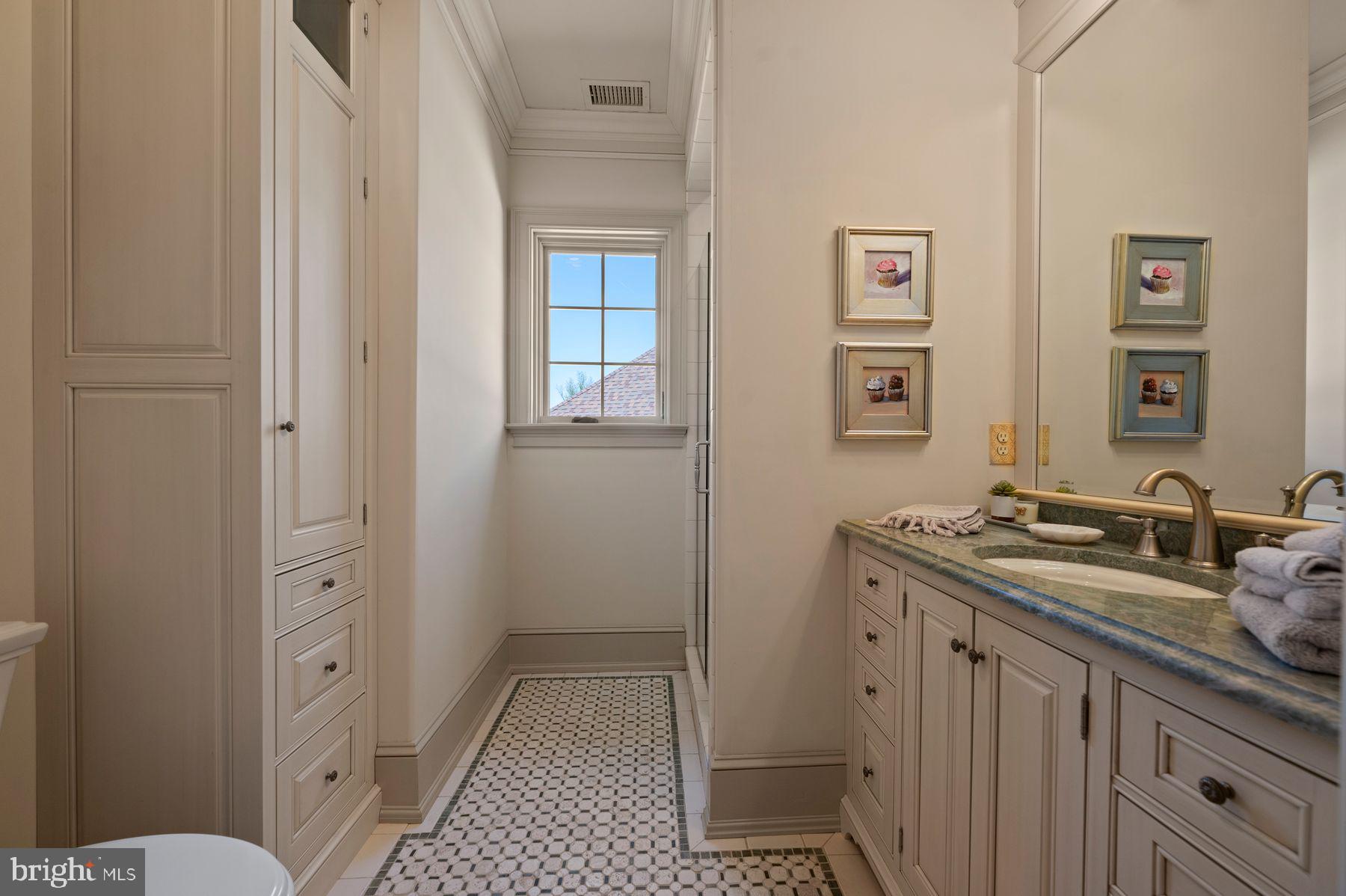 925 Drovers Lane Chester Springs, PA 19425 - Photo 46 of 96 Bathroom 3