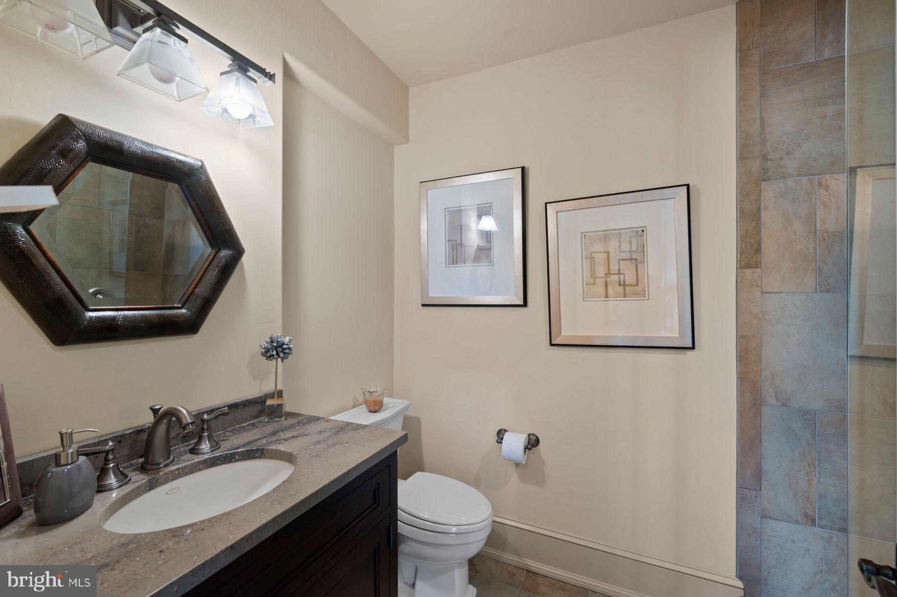 925 Drovers Lane Chester Springs, PA 19425 - Photo 52 of 96 a bathroom with a granite countertop toilet a sink and a mirror