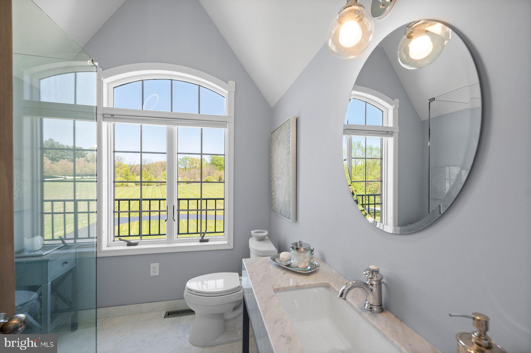 925 Drovers Lane Chester Springs, PA 19425 - Photo 71 of 96 a bathroom with a sink a toilet and a mirror