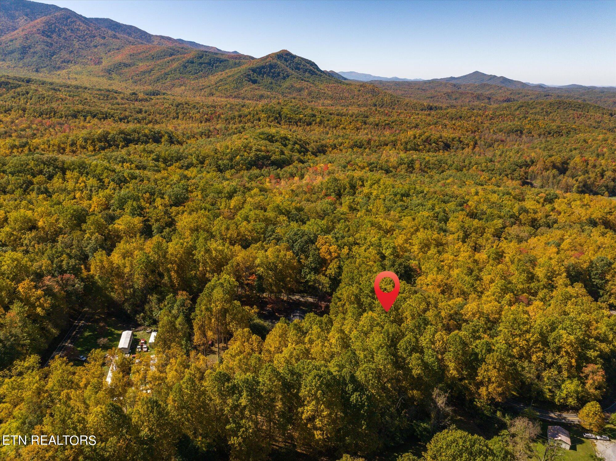 32 (lot 1) Cosby, TN 37722 - Photo 11 of 14 35-Lot-1-2-11