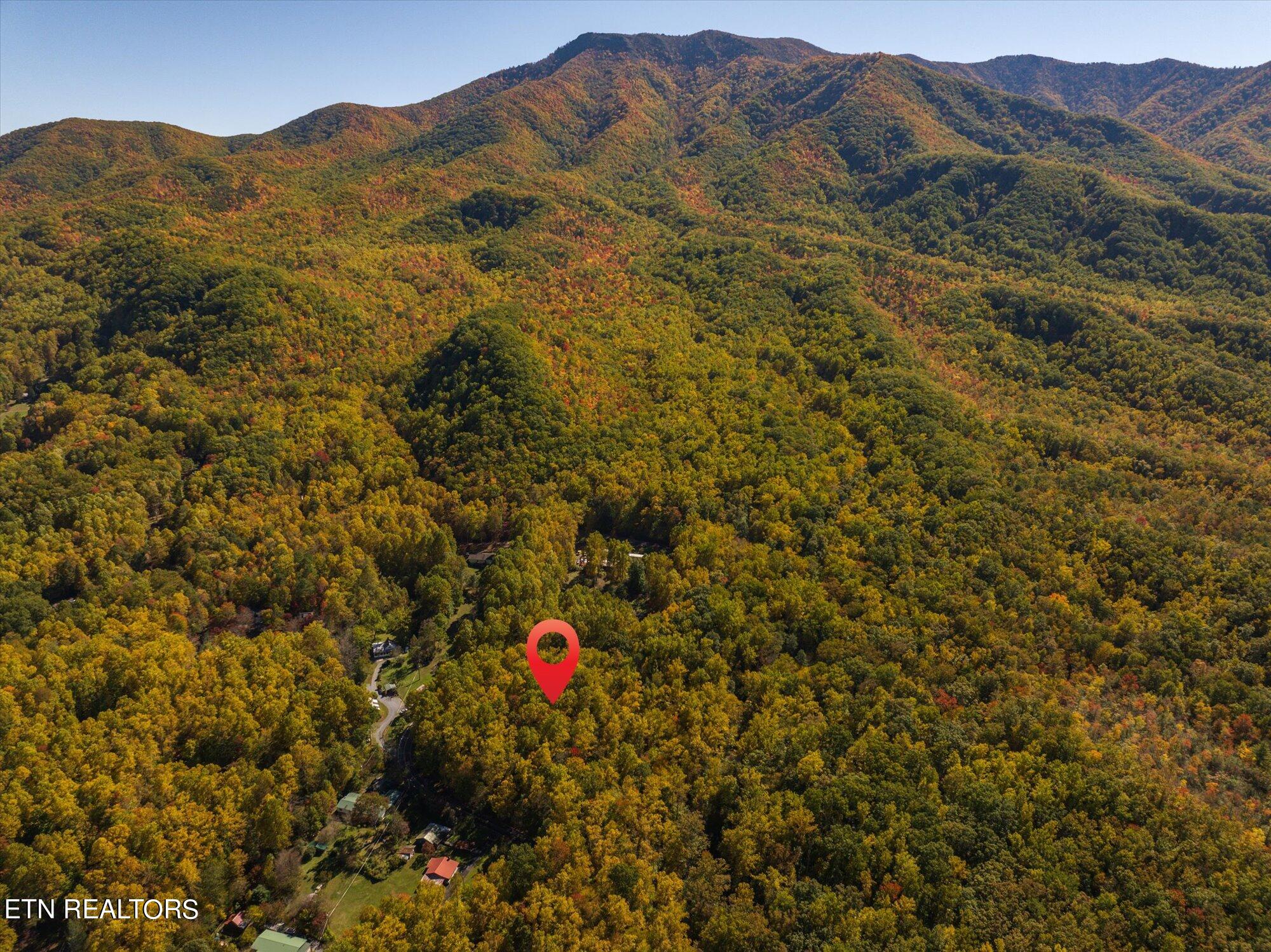 32 (lot 1) Cosby, TN 37722 - Photo 2 of 14 26-Lot-1-2-2