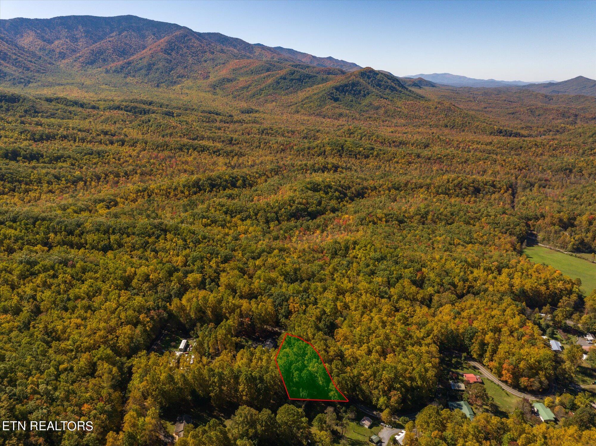 32 (lot 1) Cosby, TN 37722 - Photo 7 of 14 31-Lot-1-2-7