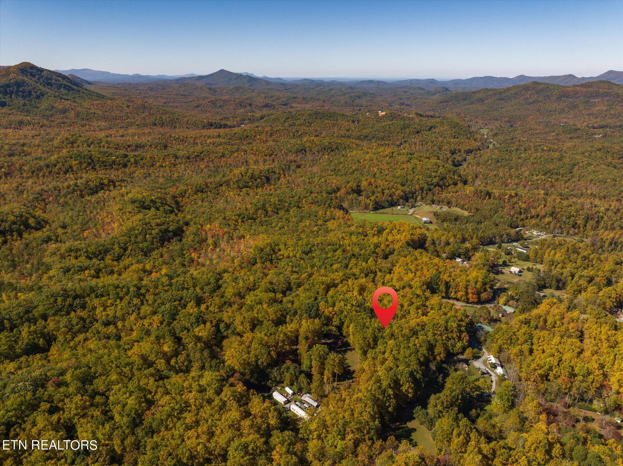 32 (lot 1) Cosby, TN 37722 - Photo 8 of 14 32-Lot-1-2-8