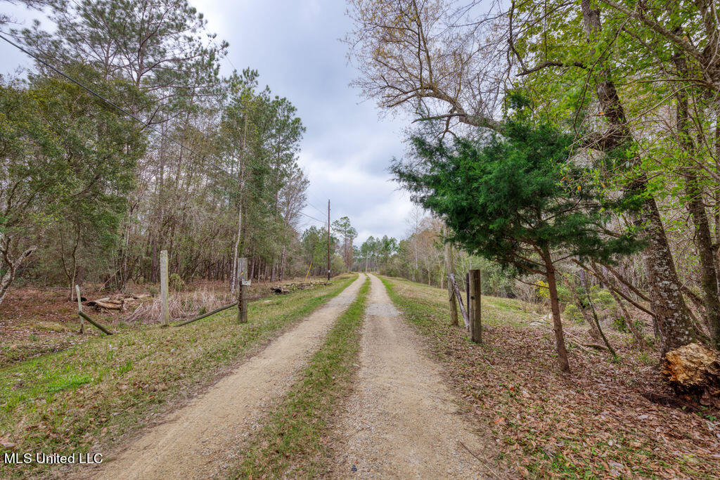 15429 Indian Fork Road Vancleave, MS 39565 - Photo 7 of 63 Drive Into Property