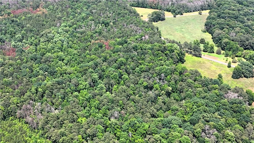 1 Melear Road Bowdon, GA 30108 - Photo 24 of 51
