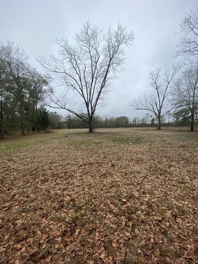 0 Van Wheeless Road Nashville, GA 31639 - Photo 3 of 6 Gallery Image 3