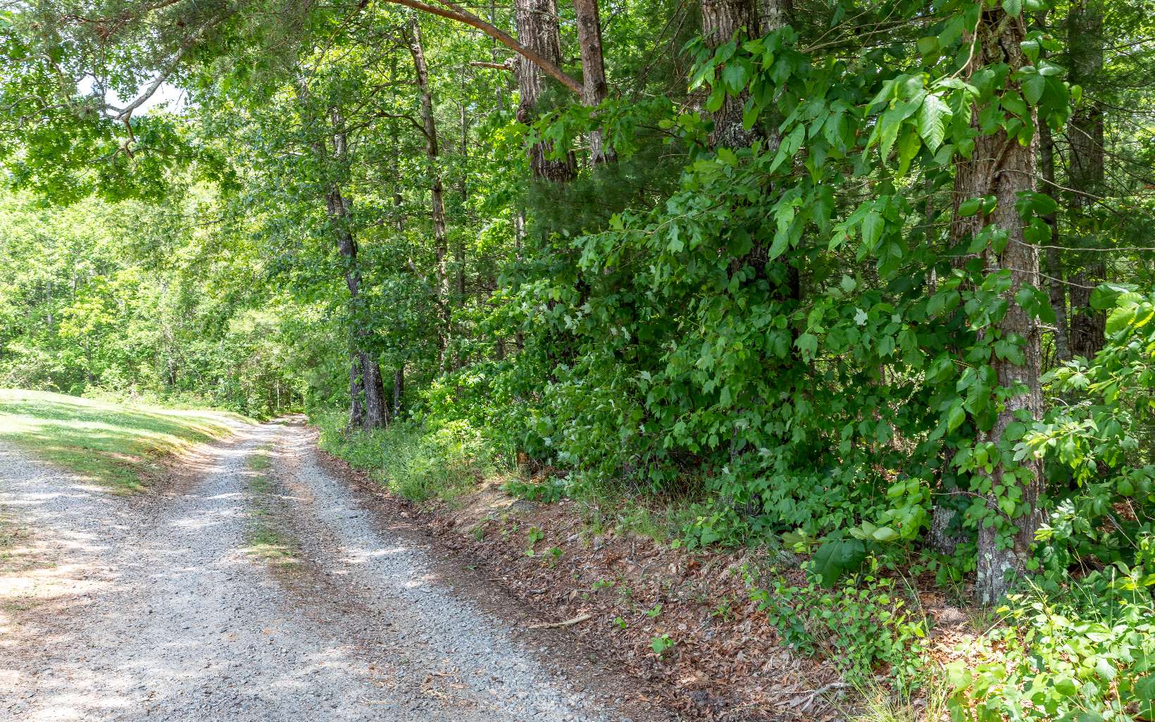 Westview Drive Blue Ridge, GA 30513 - Photo 1 of 4 Main View