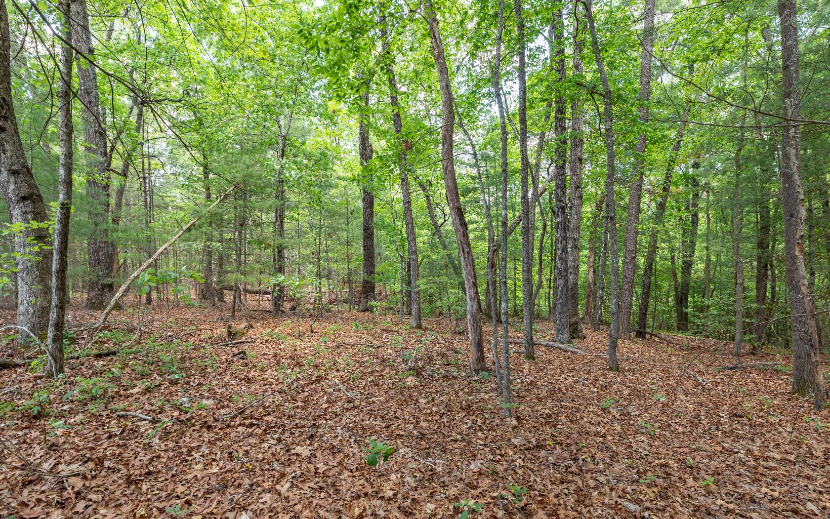 Westview Drive Blue Ridge, GA 30513 - Photo 2 of 4 Additional View