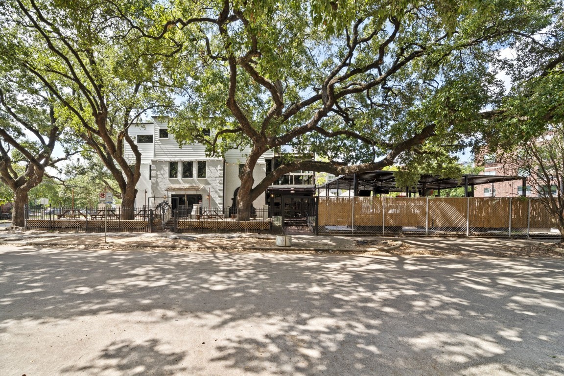 1916 Baldwin Street Houston, TX 77019 - Photo 37 of 37 a tree in front of a white house