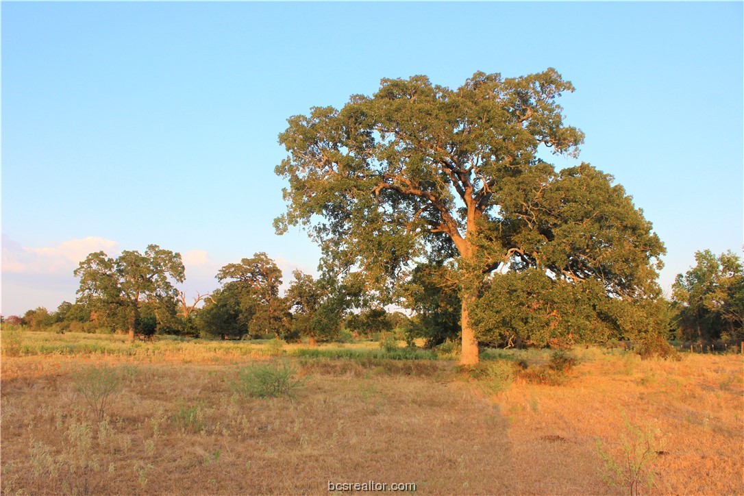 103 County Road 103 Iola, TX 77861 - Photo 1 of 1 a view of lake with outdoor space