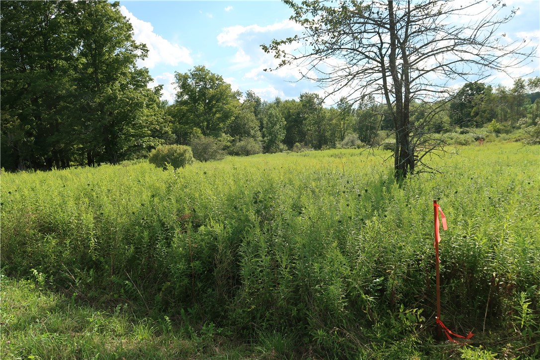 Lot 4 German Road Cincinnatus, NY 13040 - Photo 1 of 1 Gallery Image 1