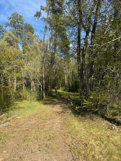 3 County Road 3 Merrifield, MN 56465 - Photo 14 of 36