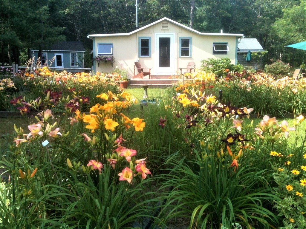 a front view of a house with a yard and fountain