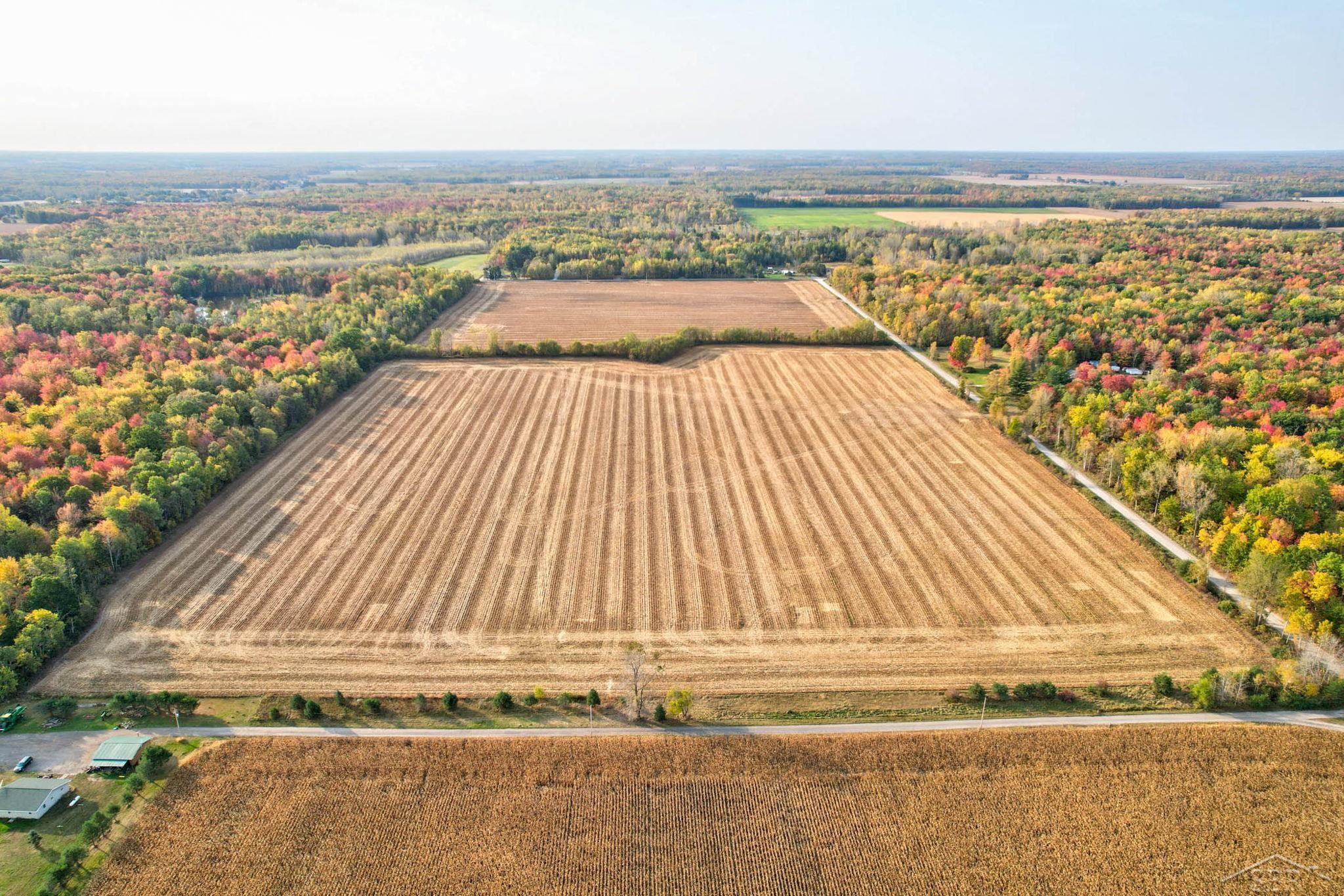 11 North 11 Mile Road Pinconning, MI 48650 - Photo 4 of 19