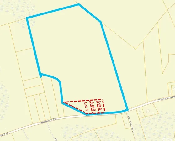 $25,000 | Lot 2 Highway 430 Nichols Sc 29581, Nichols, SC 29581
