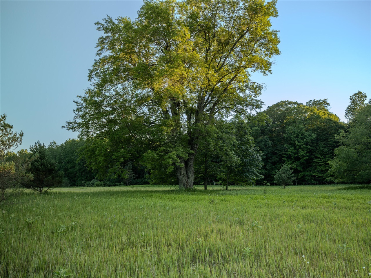1 East Arthur Road Rothbury, MI 49452 - Photo 7 of 19