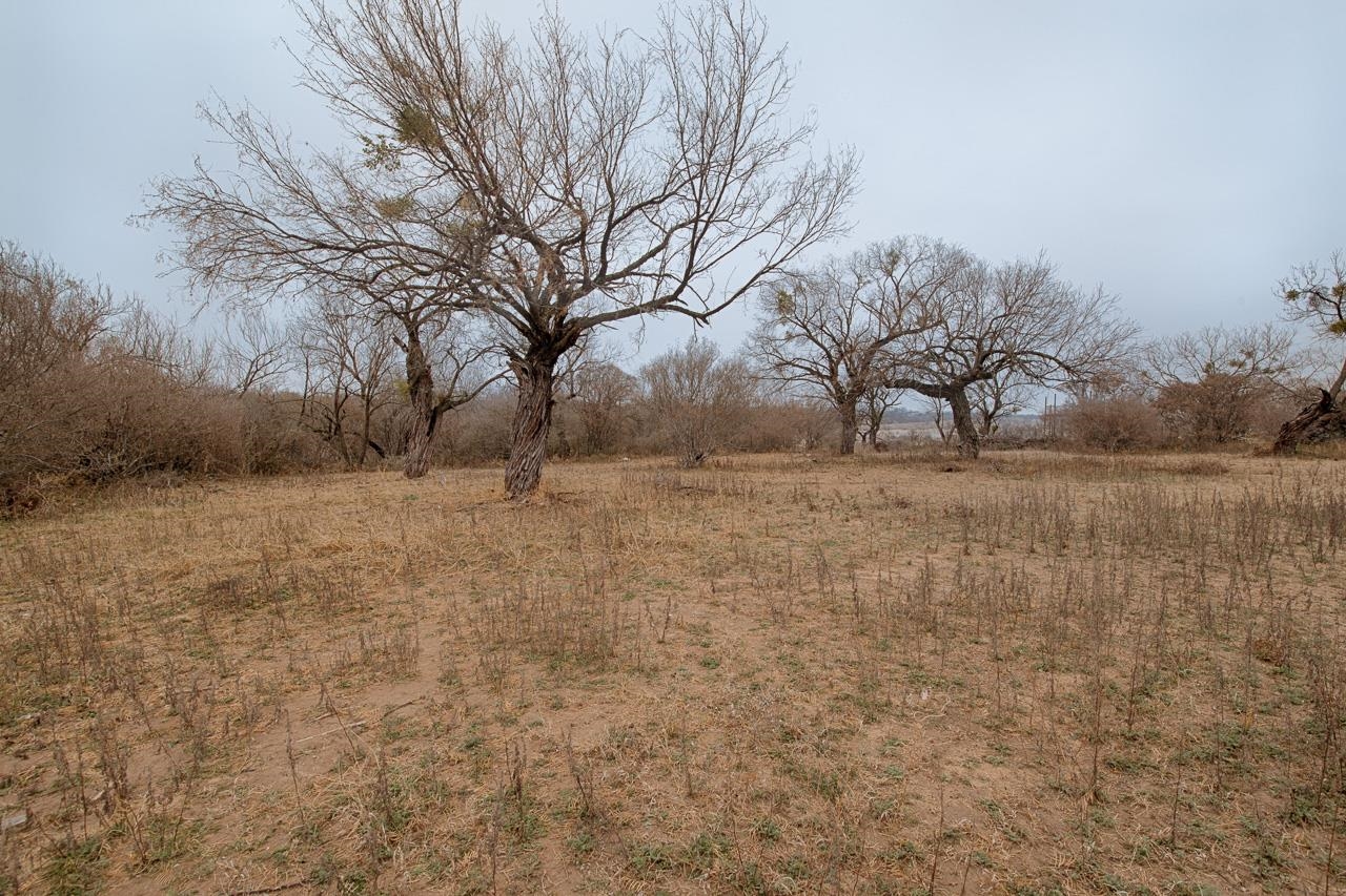 601 Llano River Road Mason, TX 76856 - Photo 4 of 6 Gallery Image 4