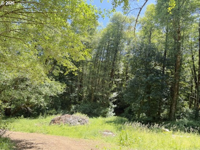 82467 Crowder Road Seaside, OR 97138 - Photo 7 of 13 Acreage