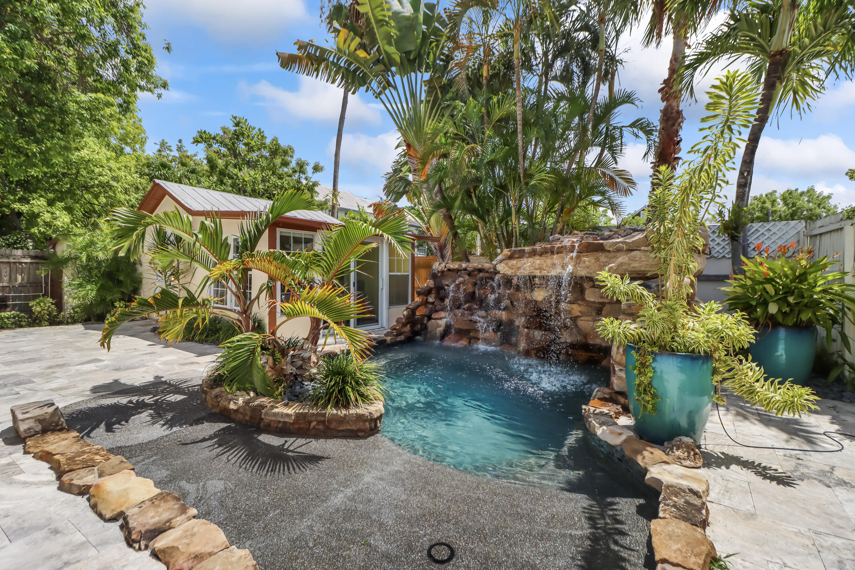 a view of a backyard with plants