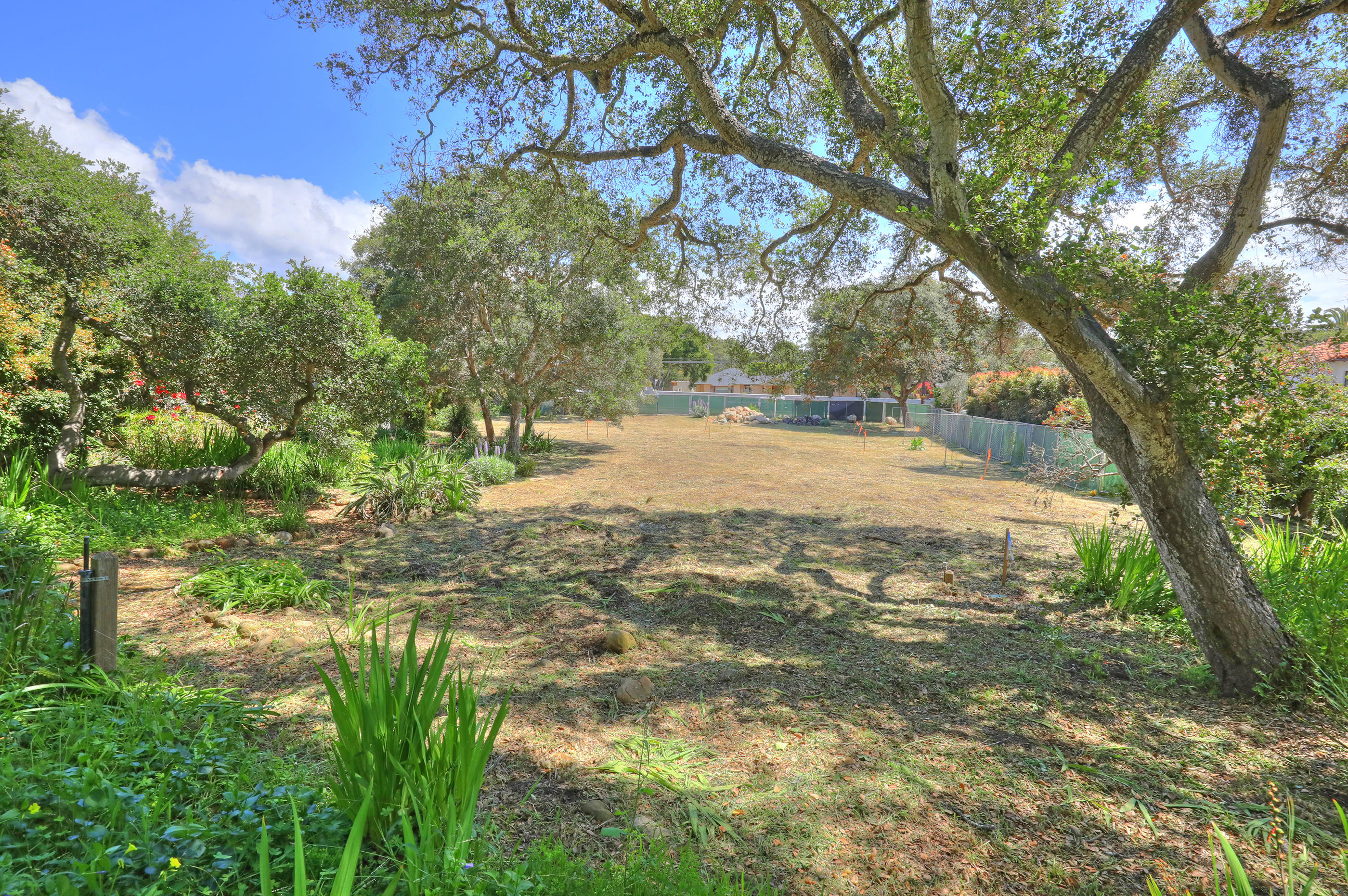 137 Olive Mill Road Montecito, CA 93108 - Photo 25 of 28 a view of yard with trees