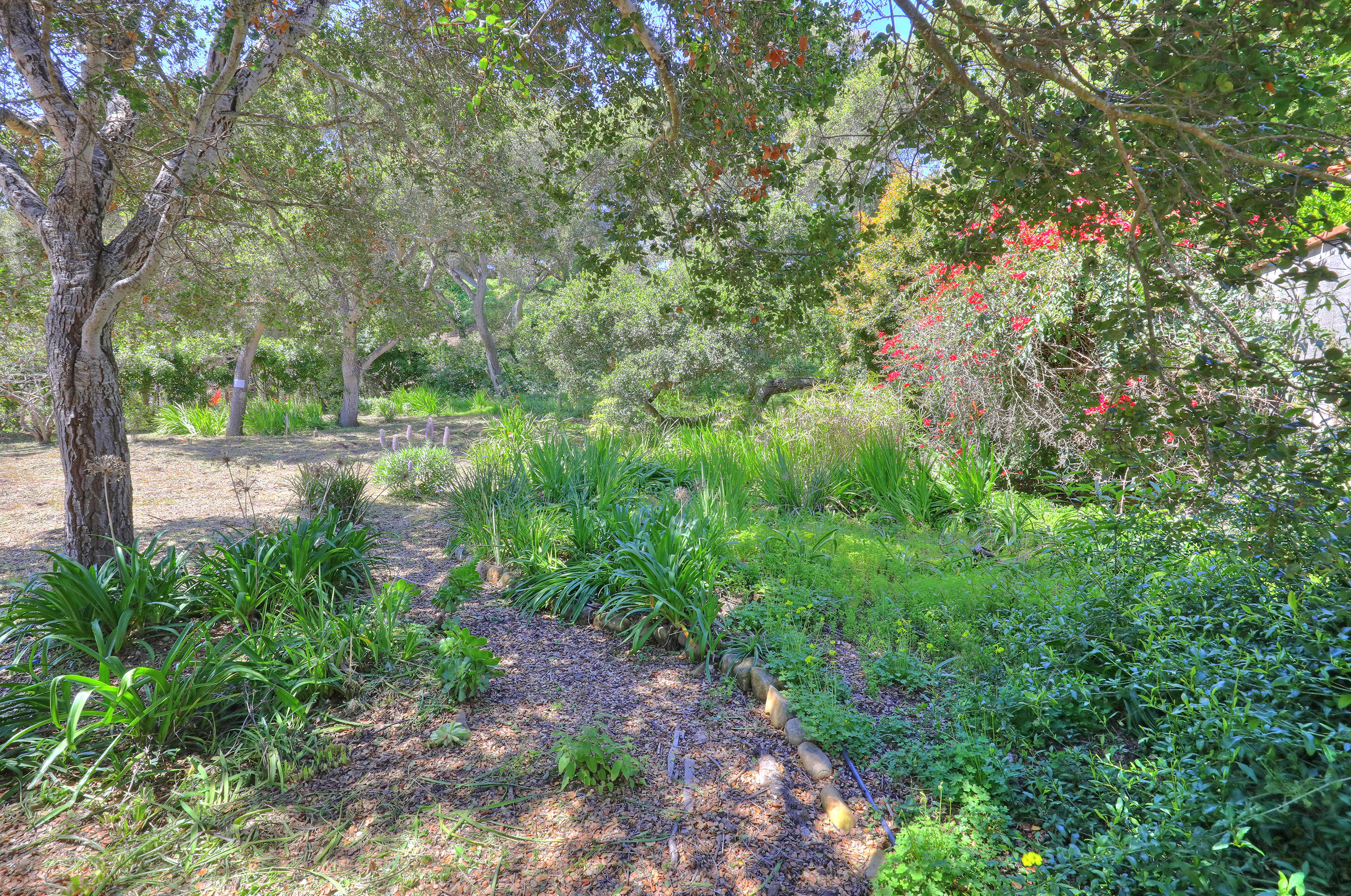 137 Olive Mill Road Montecito, CA 93108 - Photo 27 of 28 a backyard of a house with lots of green space and chair