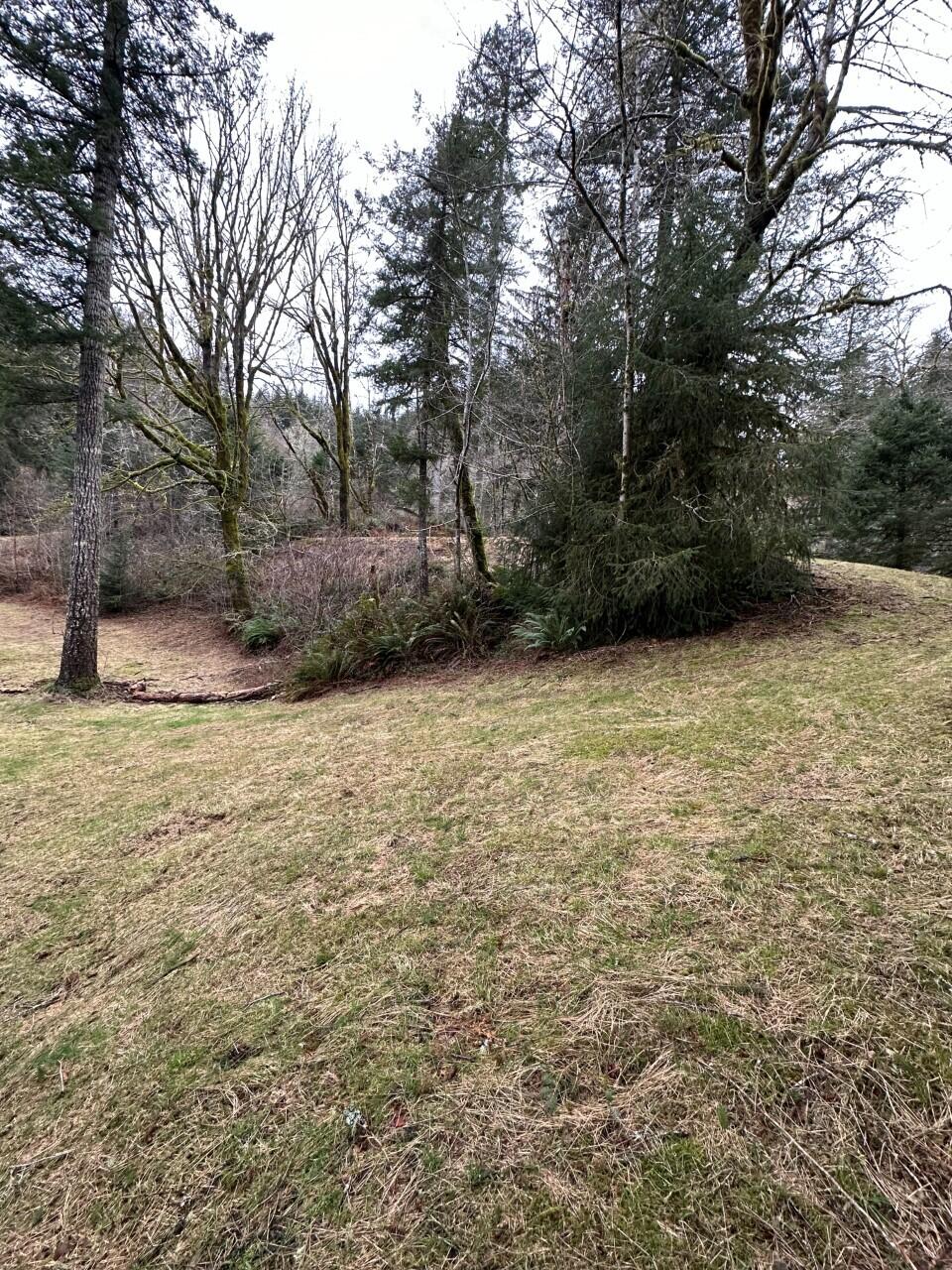11-12 Big Trout Road Grand Ronde, OR 97347 - Photo 4 of 17 pic8_IMG_0808