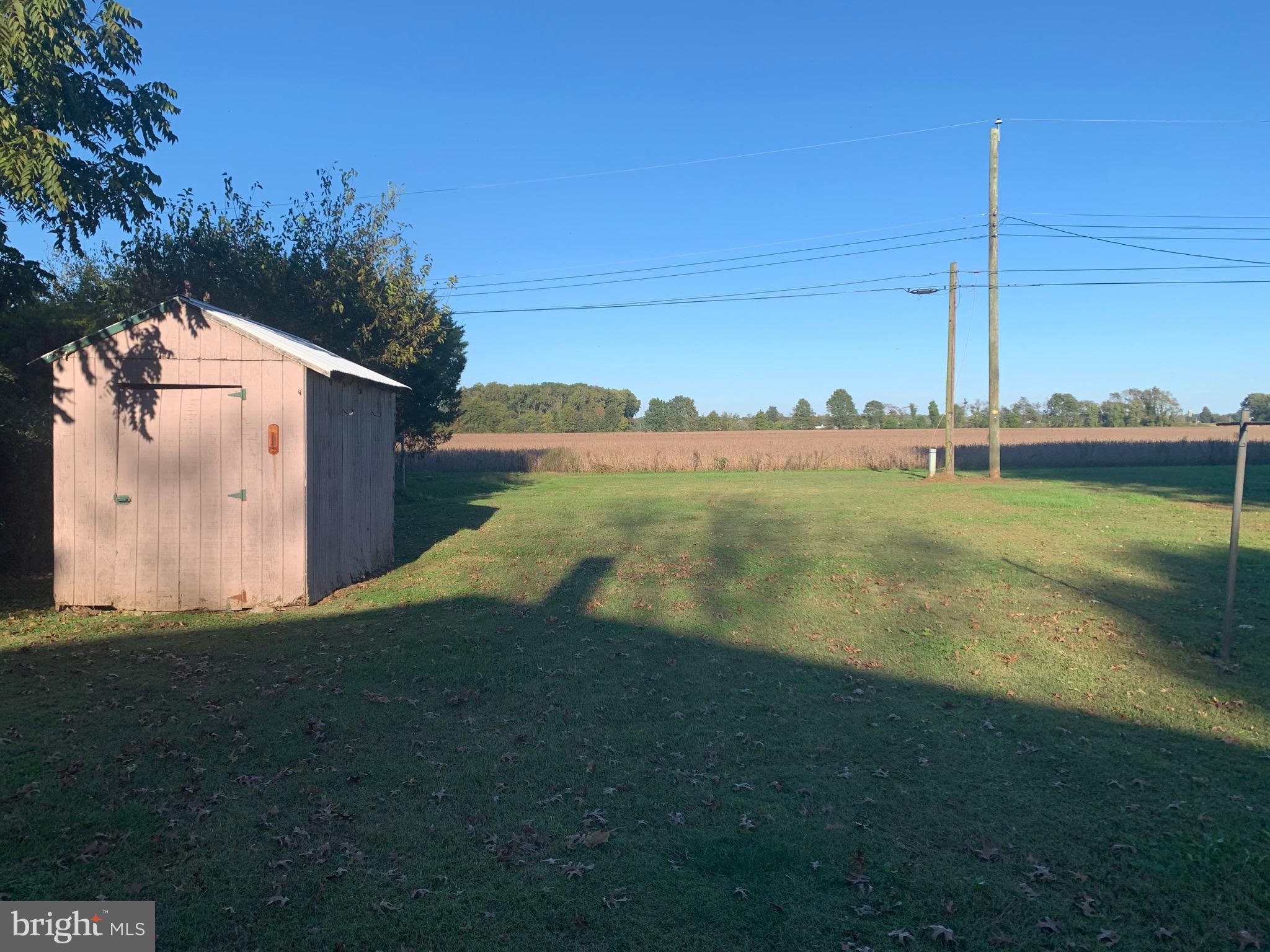 106 Sunrise Avenue Ridgely, MD 21660 - Photo 14 of 21 Shed / Back yard view