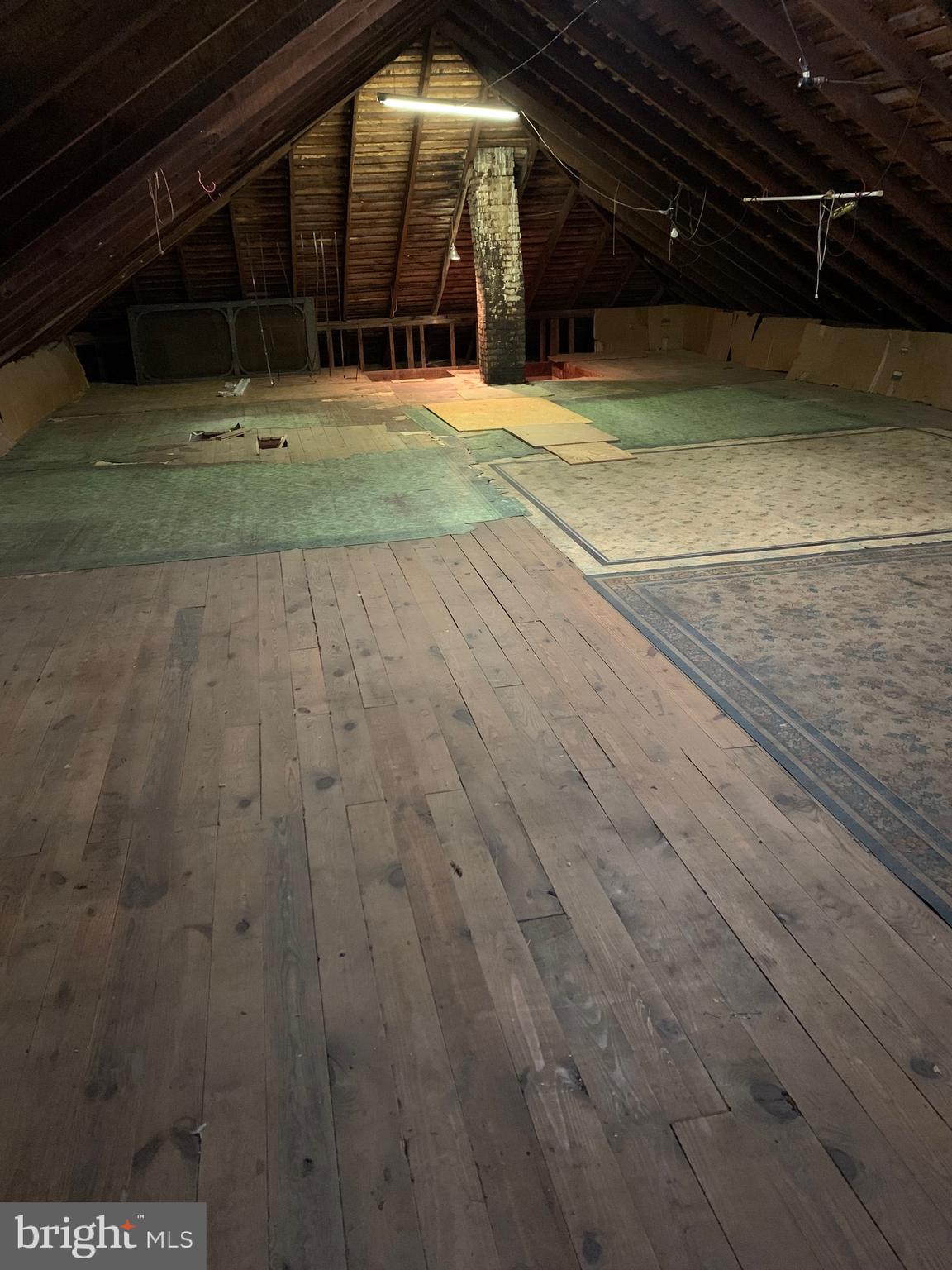 106 Sunrise Avenue Ridgely, MD 21660 - Photo 18 of 21 Large full attic