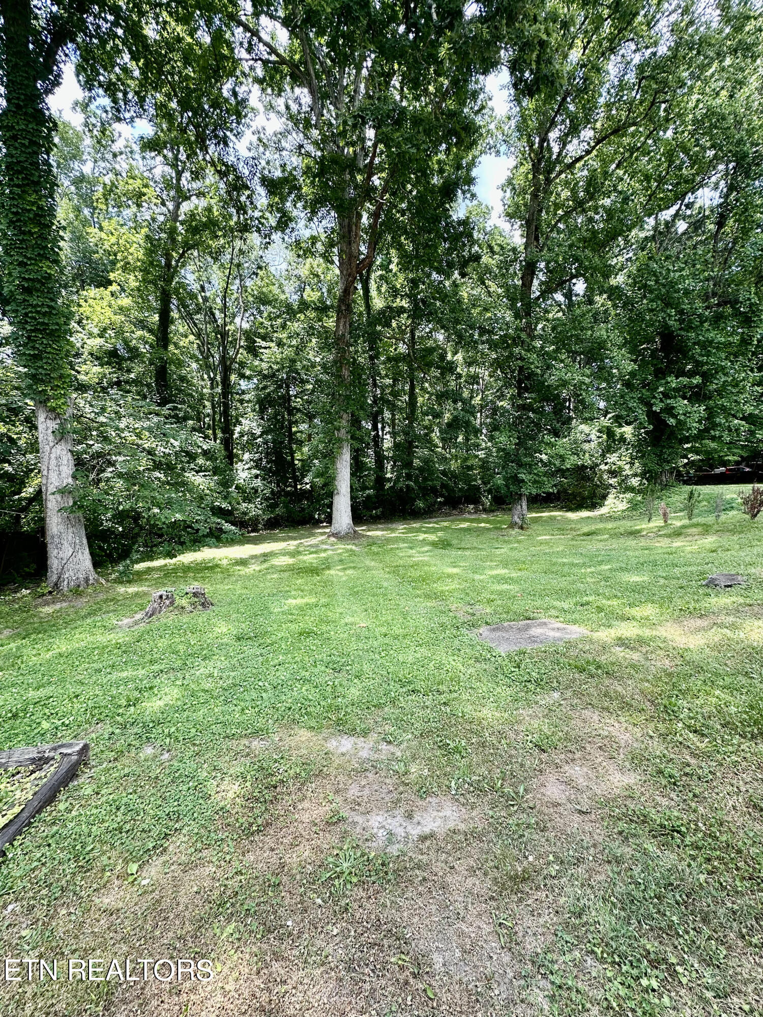 134 Oak Road Norris, TN 37828 - Photo 11 of 11 unnamed (11)