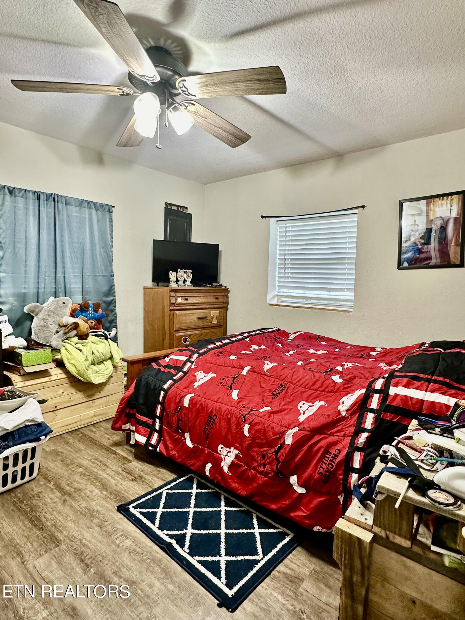 134 Oak Road Norris, TN 37828 - Photo 8 of 11 unnamed (2)
