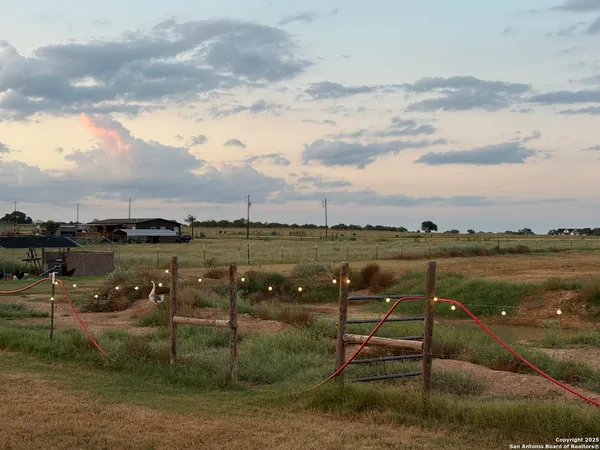 a view of a dry yard with trees
