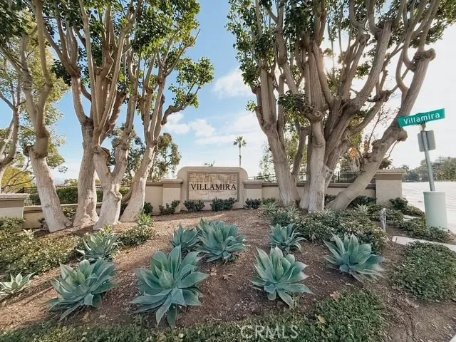 a view of a garden in a patio