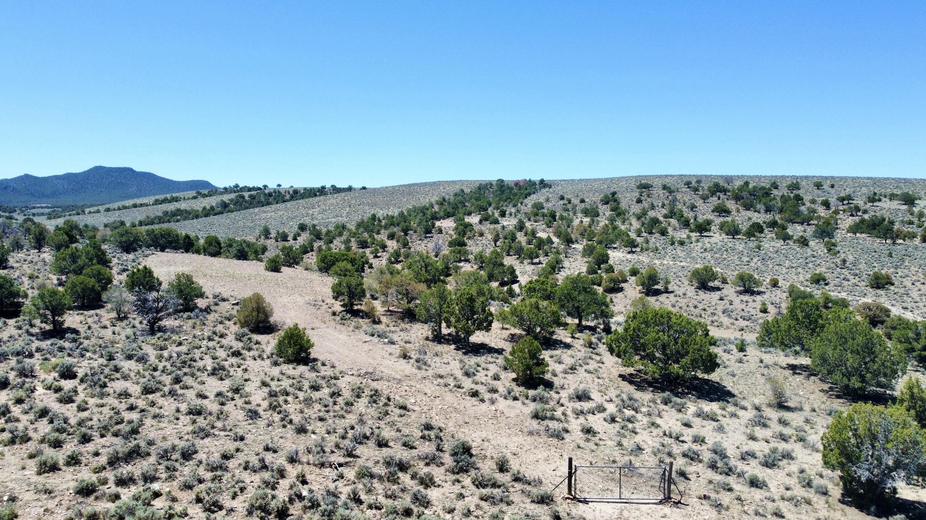 T30 South R7 W S2 Beaver, UT 84713 - Photo 4 of 10 dji_fly_20260611_121618_371_178120178389