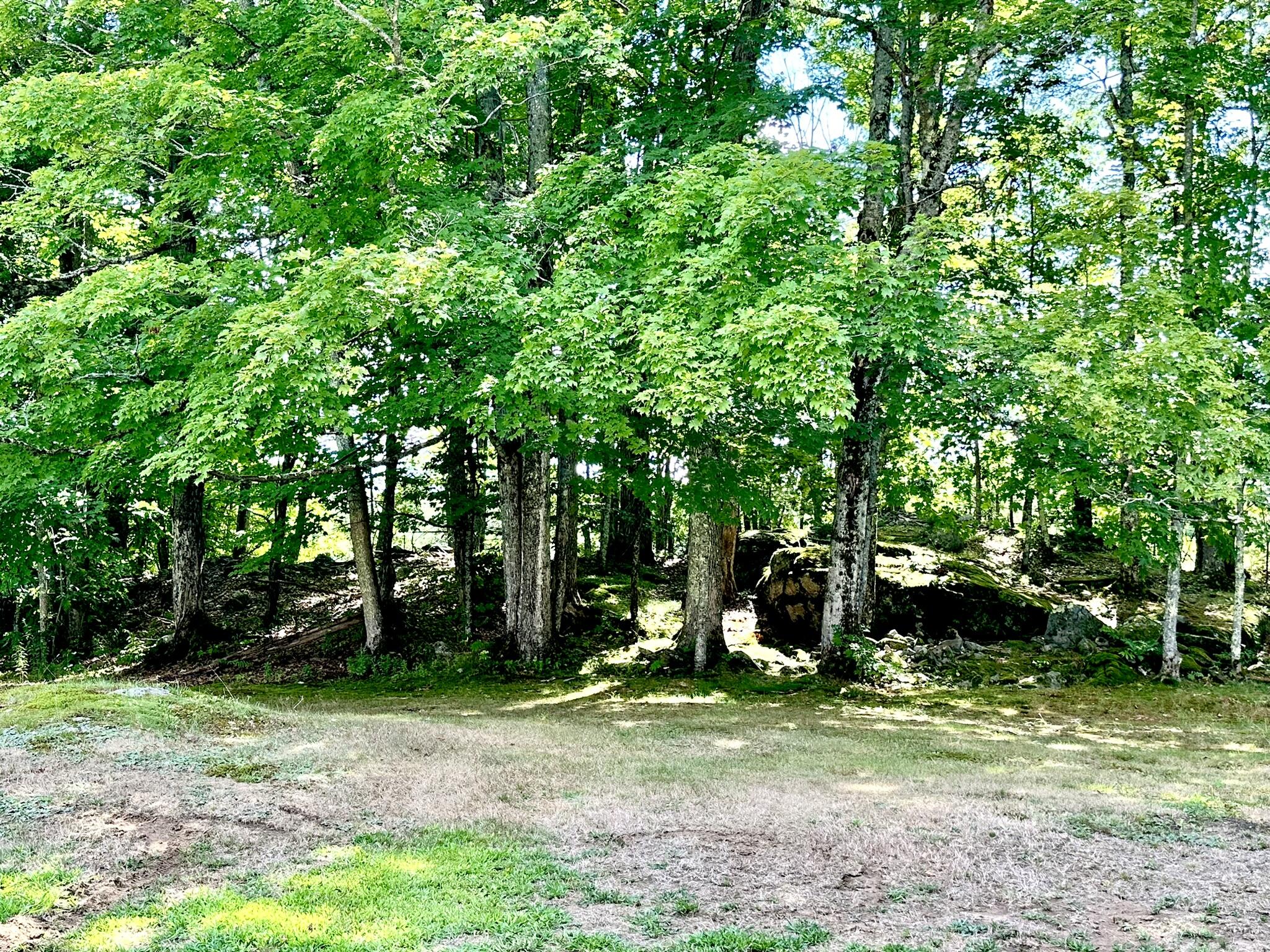 31 Hazen Drive Springvale, ME 04083 - Photo 13 of 53 IMG_3339