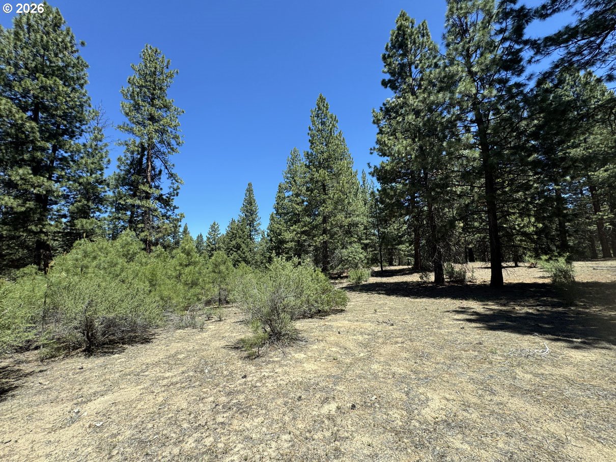 Friendship Drive, Unit 15 Chiloquin, OR 97624 - Photo 34 of 41
