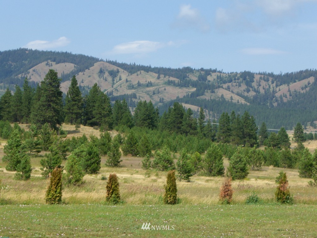 1320 Hidden Valley Road Cle Elum, WA 98922 - Photo 14 of 14 Gallery Image 14