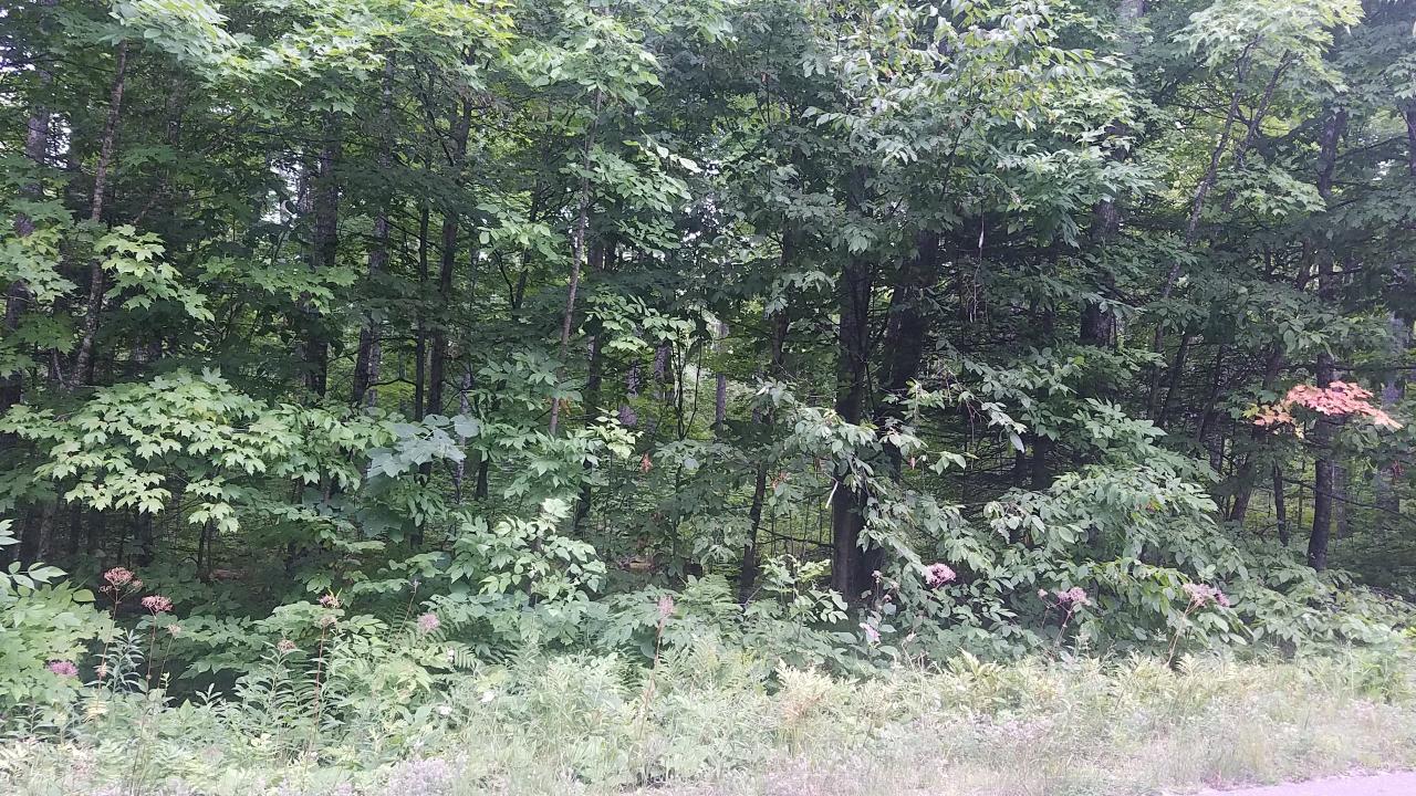 1-2 Sugar Maple Road, Unit LOTS Phelps, WI 54554 - Photo 3 of 4 Gallery Image 3